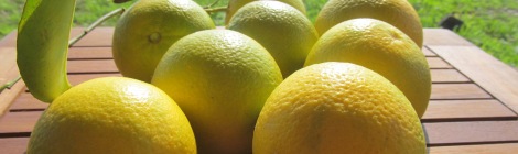 Oranges-fresh-fruit-spain